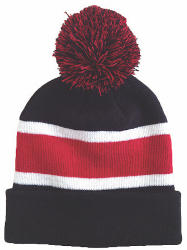 Striped Beanie w/Pom 7
