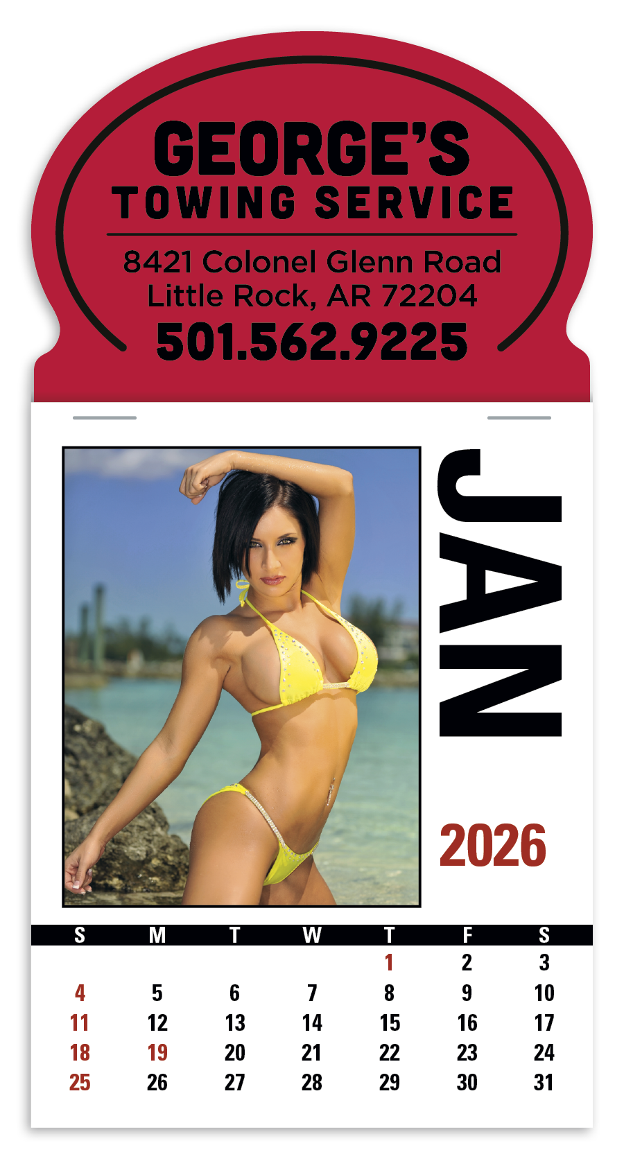 Triumph® Calendars Press-N-Stick Sunshine Girls Calendar 958