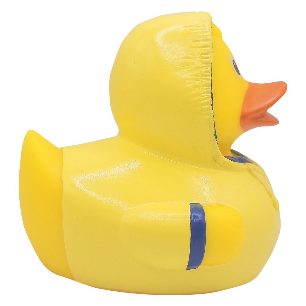 Bad Weather Duck 2