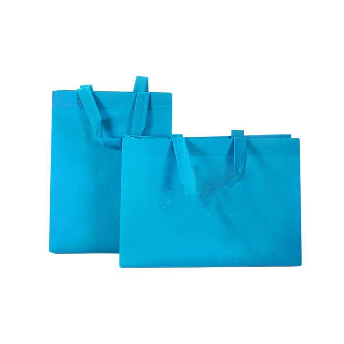 Reinforced Polypropylene Bag for Groceries 2