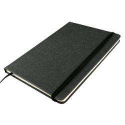 Xander Notebook 1