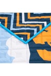 Pro Vision Festival Blanket 20