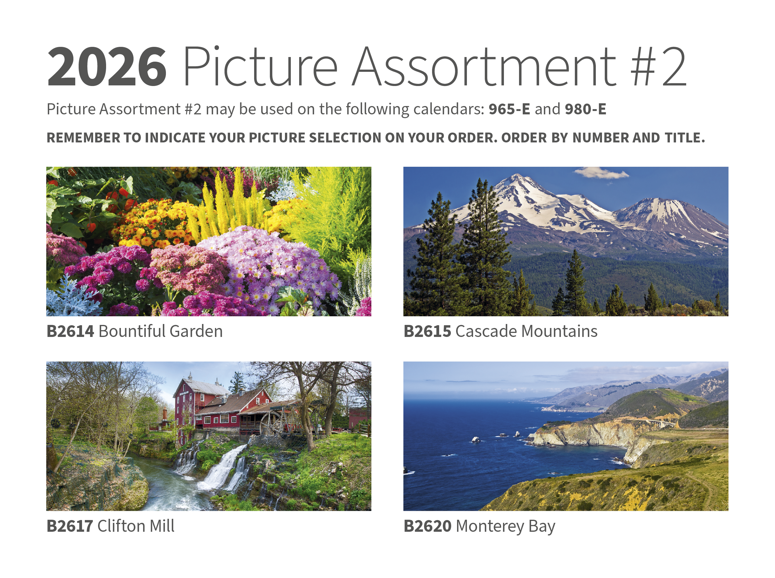 Skinner & Kennedy™ Display-A-Year