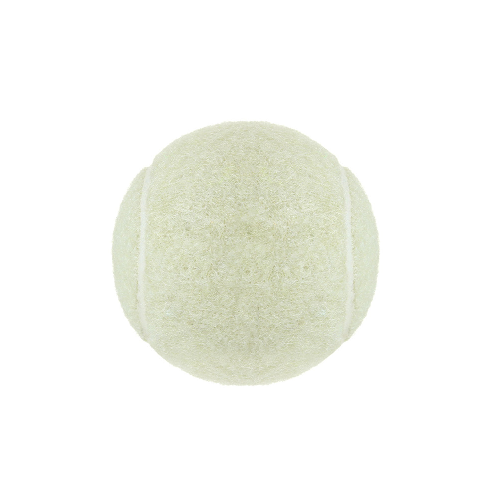 Pet Tennis Ball 2.5" Diameter For Fetch Training 18