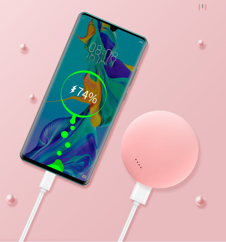 Portable Rechargeable Hand Warmer Power Bank 2