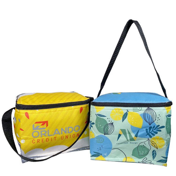 Full Color 6 Can Cooler with Foil Insulation 3