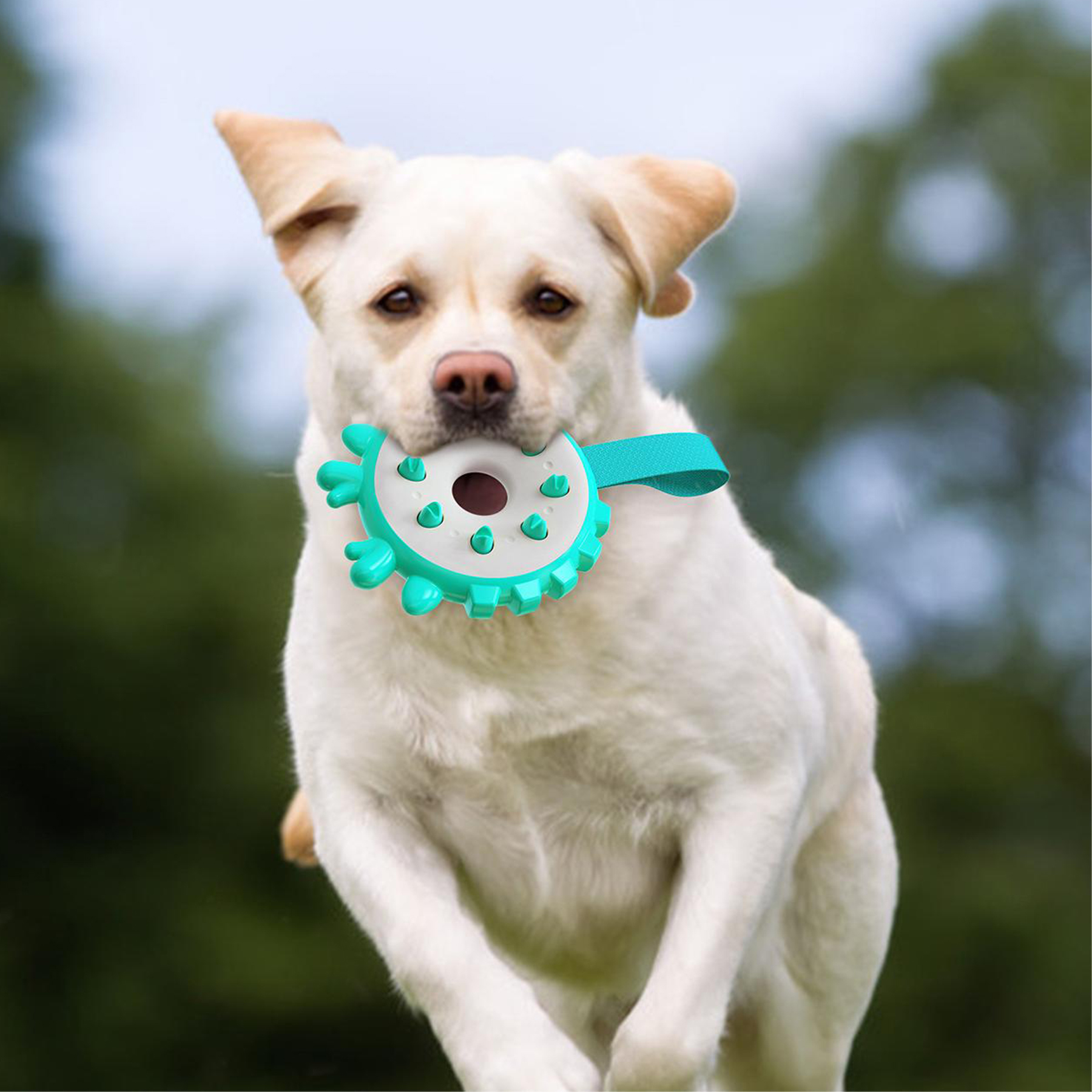 Plastic Tough Stick Dog chew Toys Pet Supplies 5