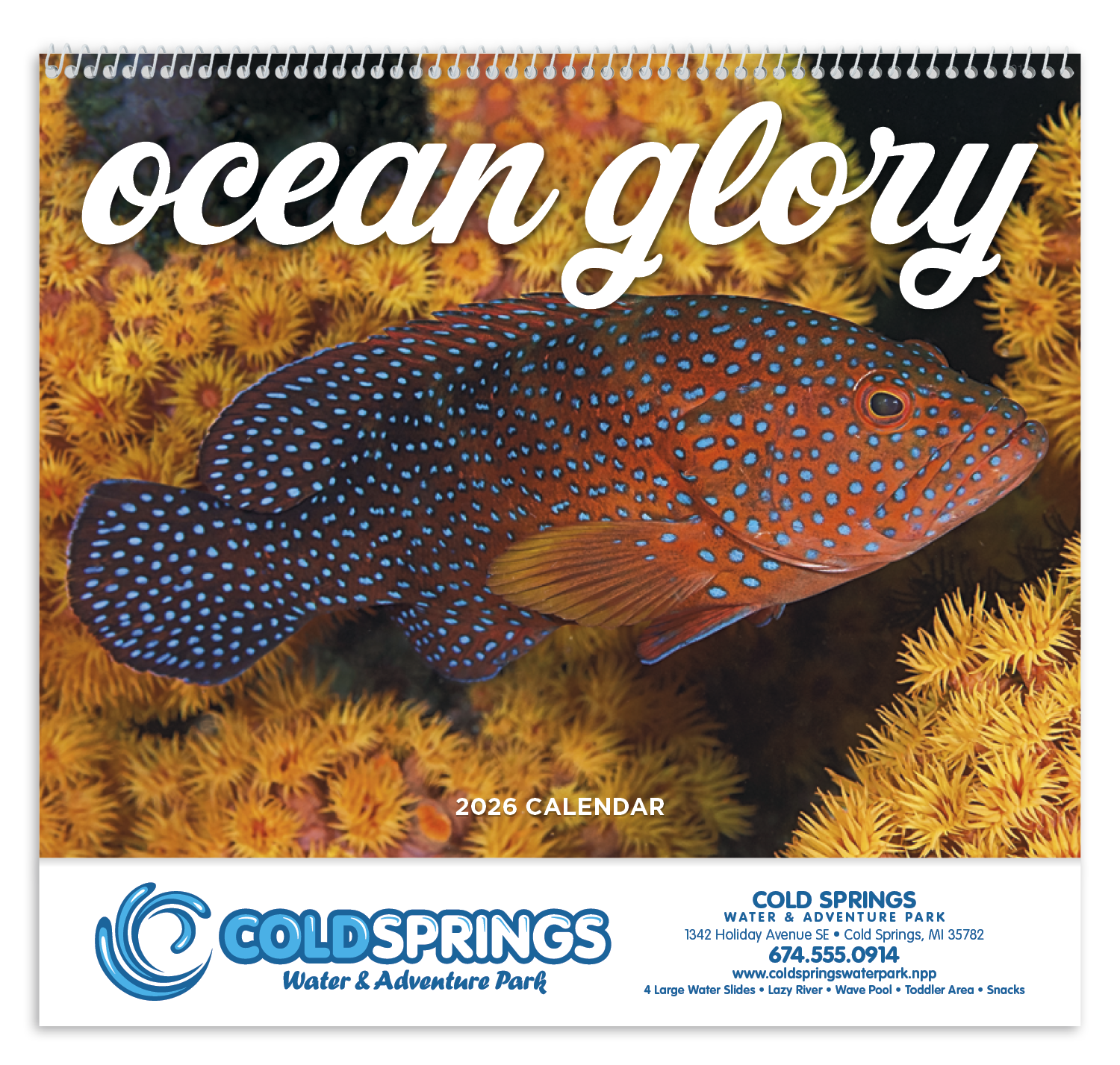 Good Value™ Ocean Glory - Spiral Calendar 59