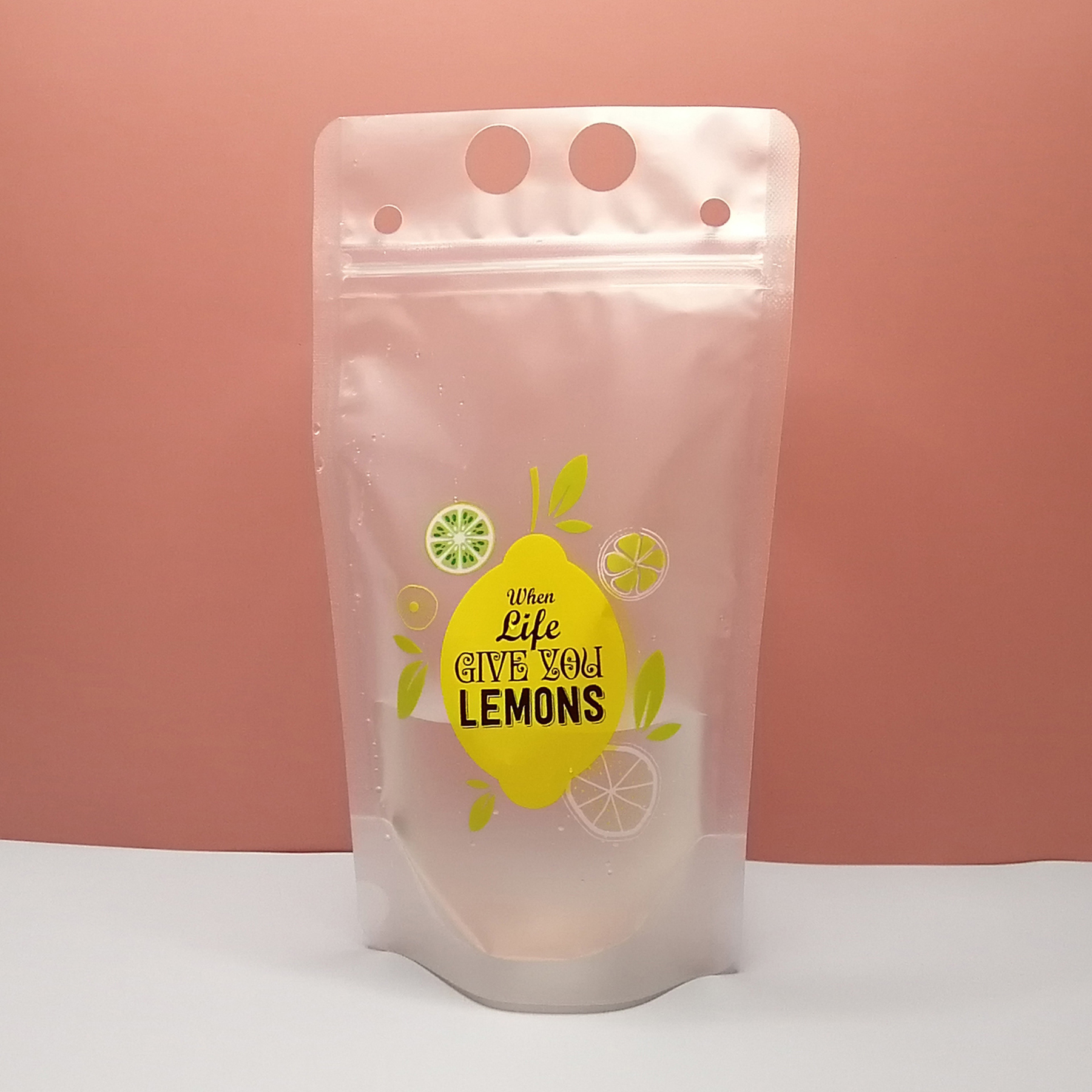 Translucent Plastic Pouch Bag 2