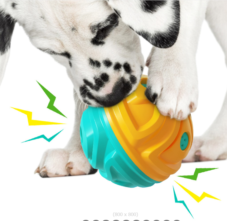Pet toy ball 2