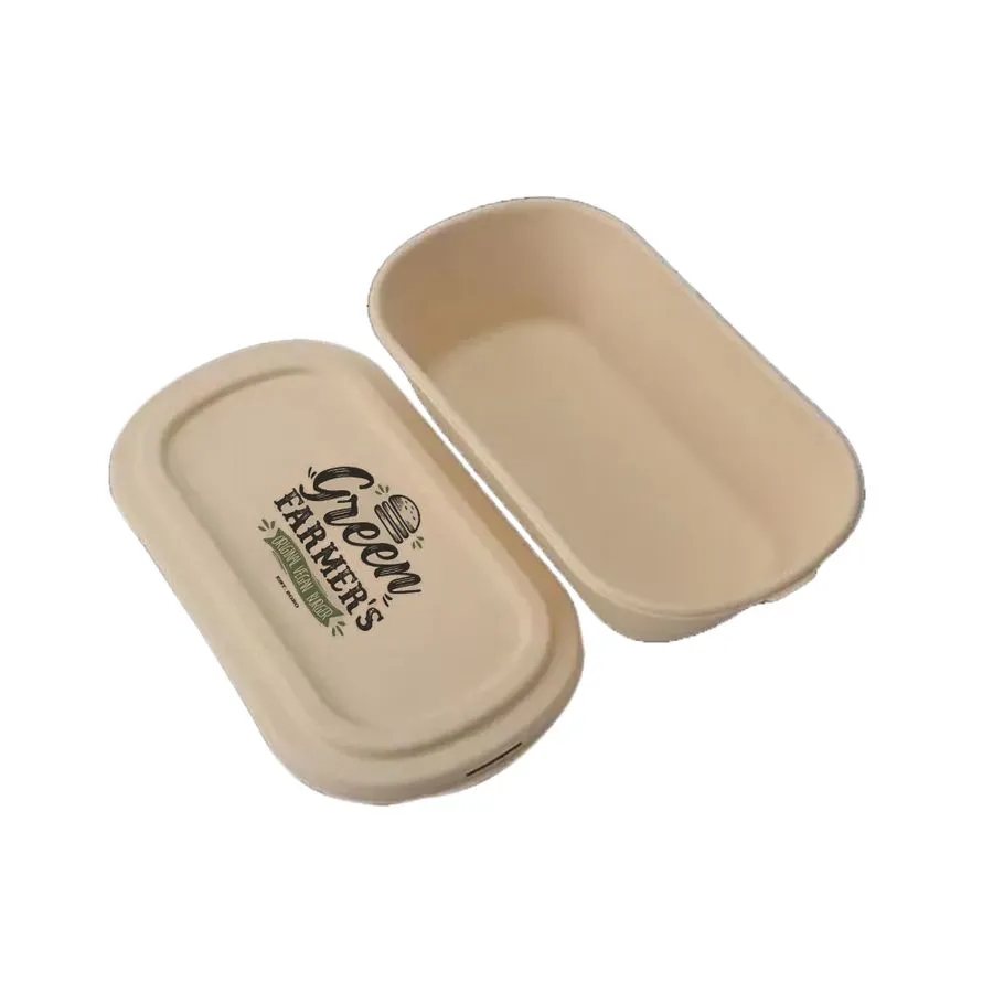 ECO Friendly Lunch Box 6