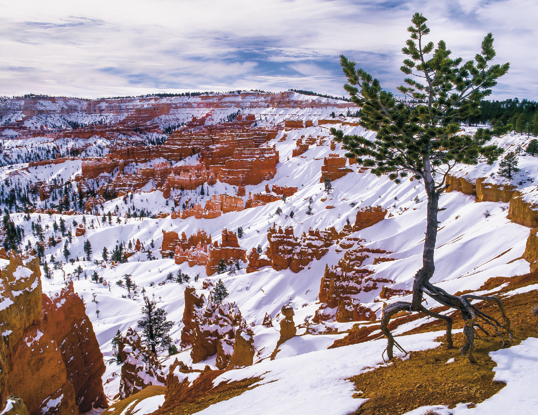 Good Value™ Landscapes of America - Stapled Calendar 34