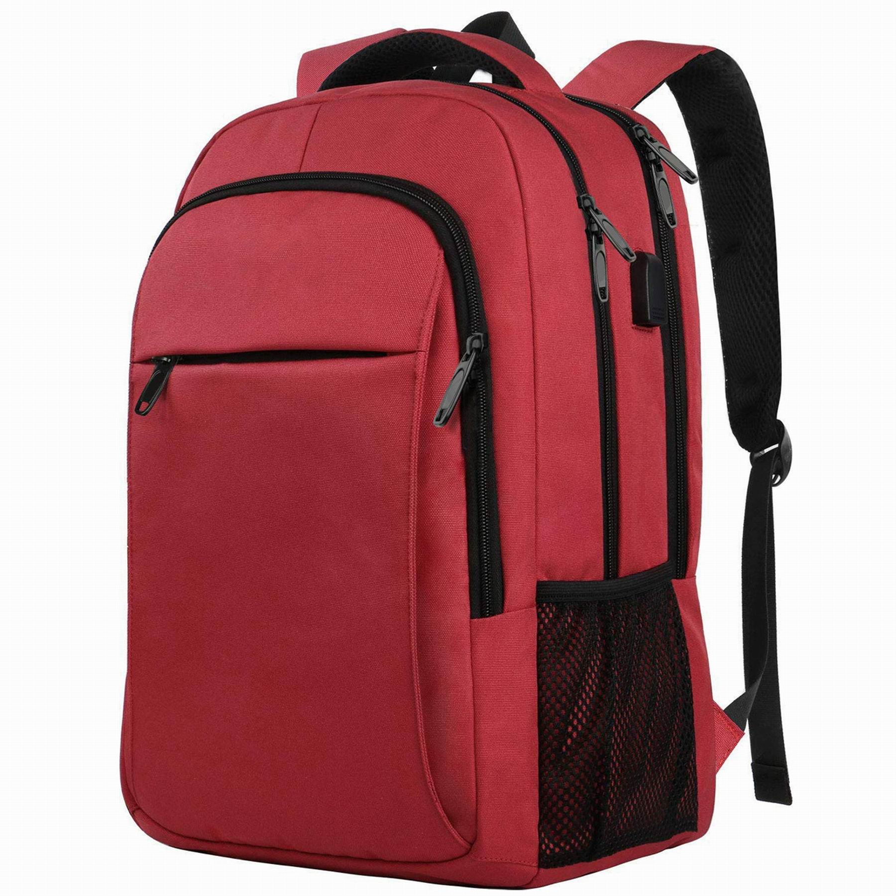 Travel Laptop Backpack 1
