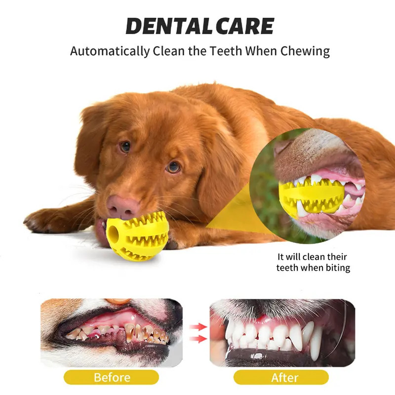 Rubber Dog Treat Toy Ball 4