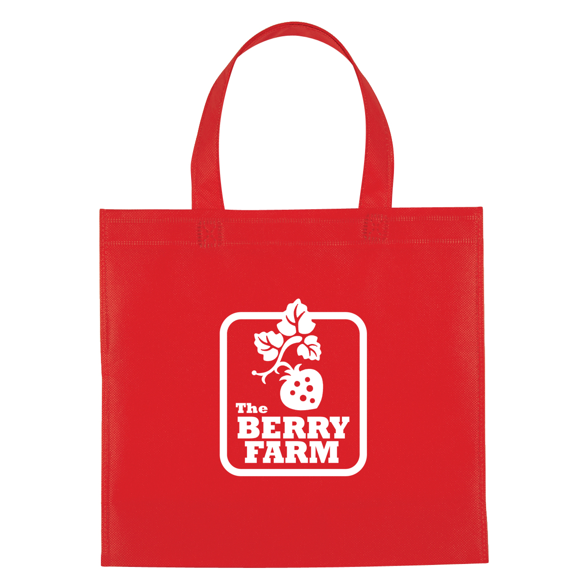 Non-Woven Mini Brochure Tote Bag 11