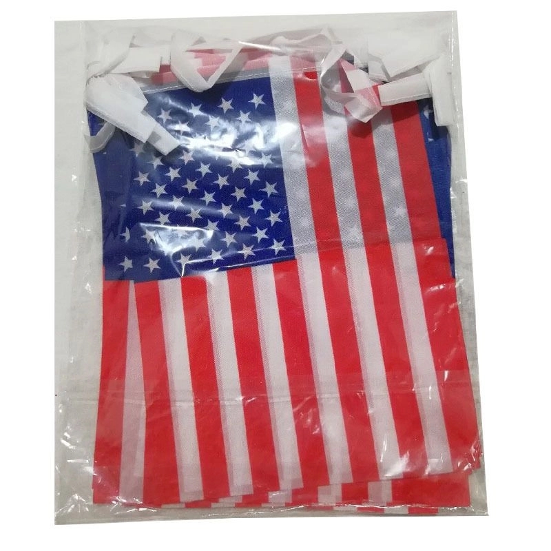 American String Pennant Banners 5