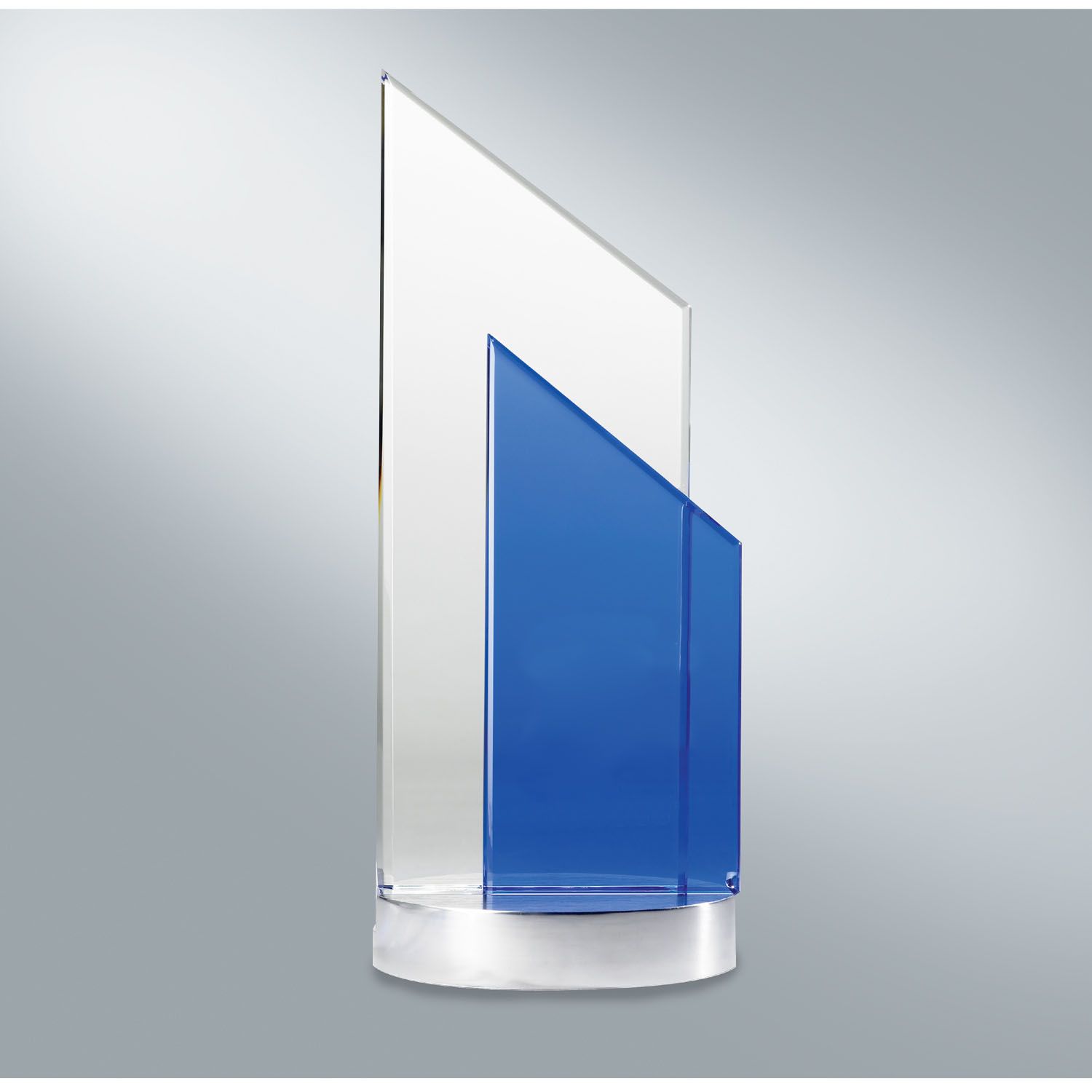 Bergen Cobalt Optically Perfect Award 4