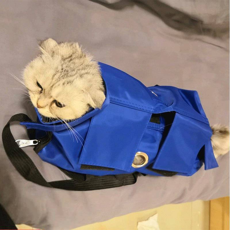 Portable Oxford Collapsible Pet Tote Bag 5