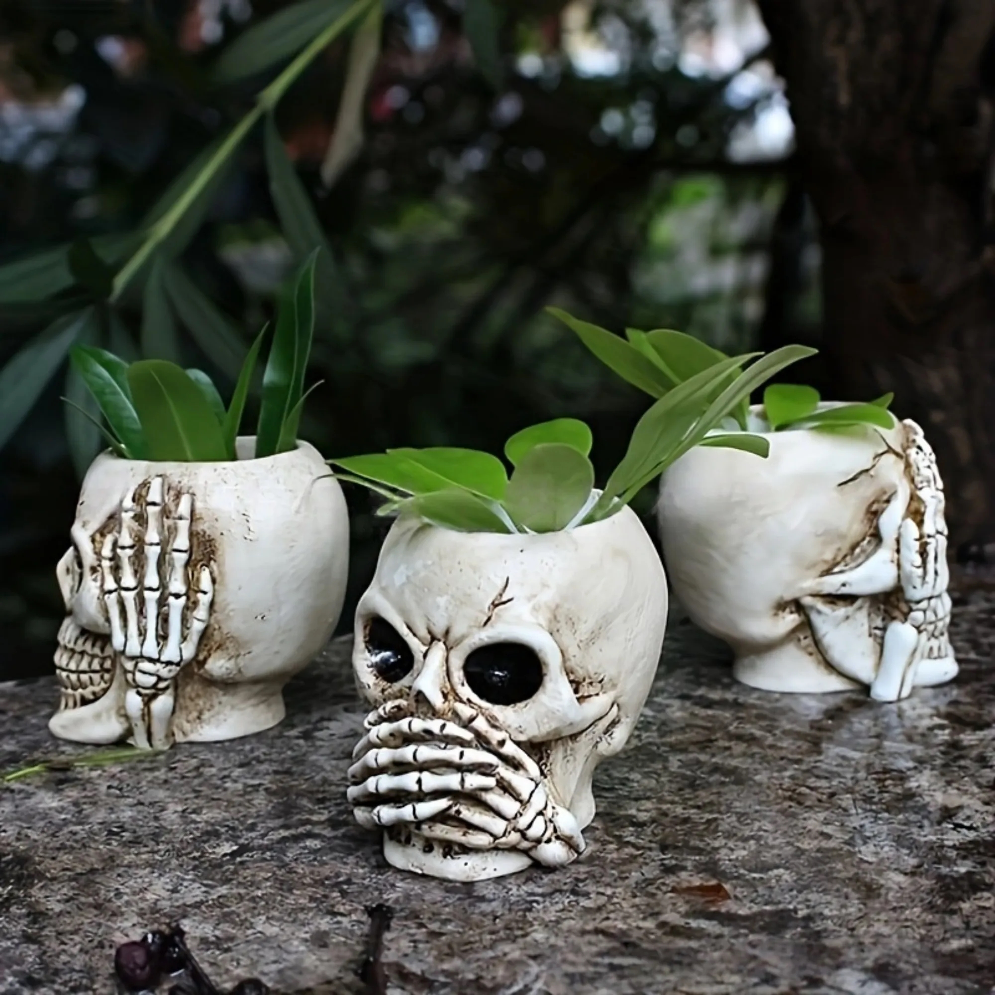 Skull Halloween Planter Flowerpot 5