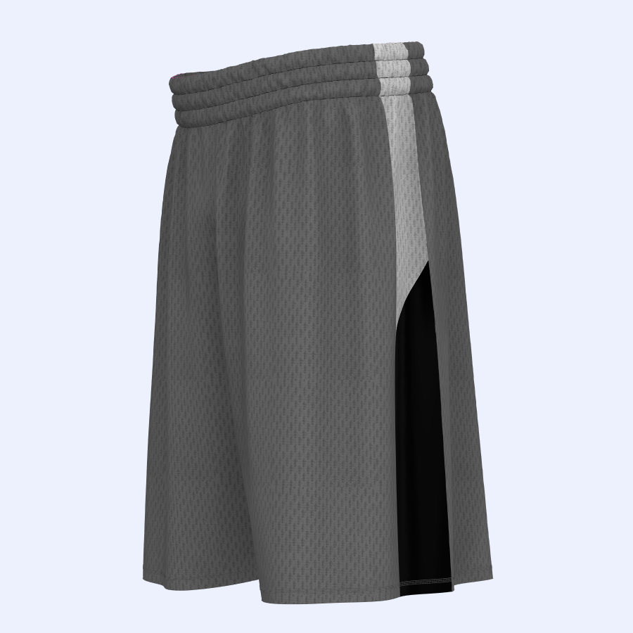 All Star basketball shorts 2