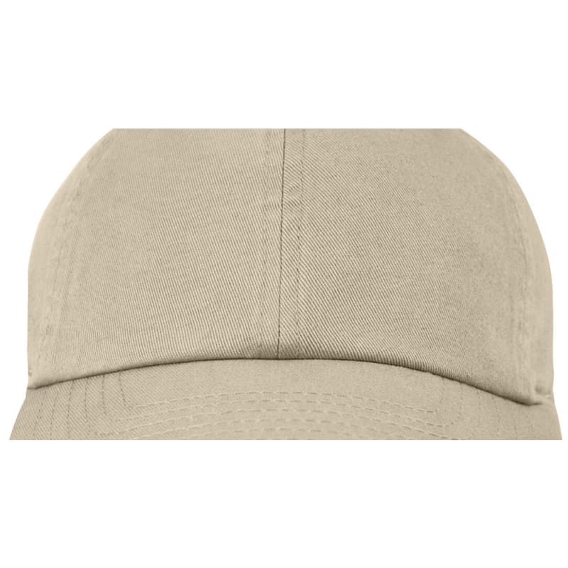 Champion Classic Washed Twill Cap 14