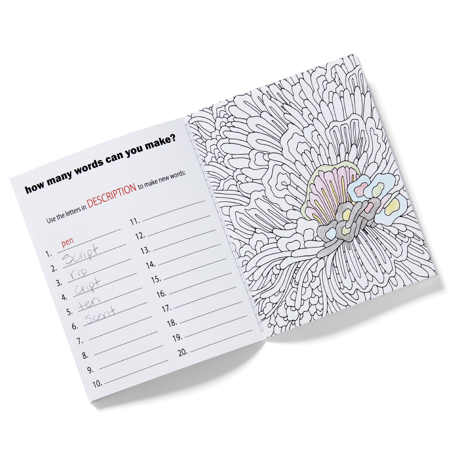 Deluxe Adult Activity Journal Book 1