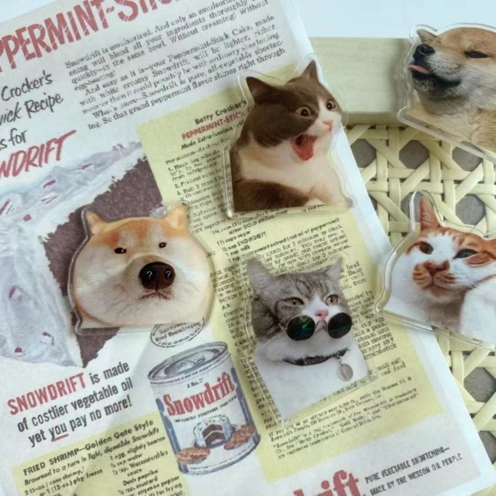 Acrylic Cute Fridge Stickers 3