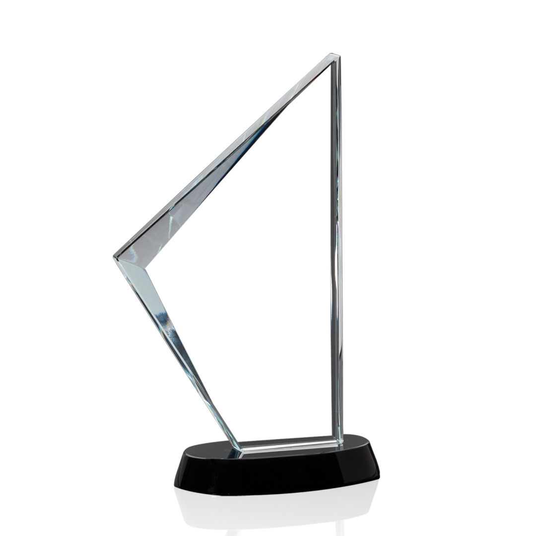 Nevada Award 10