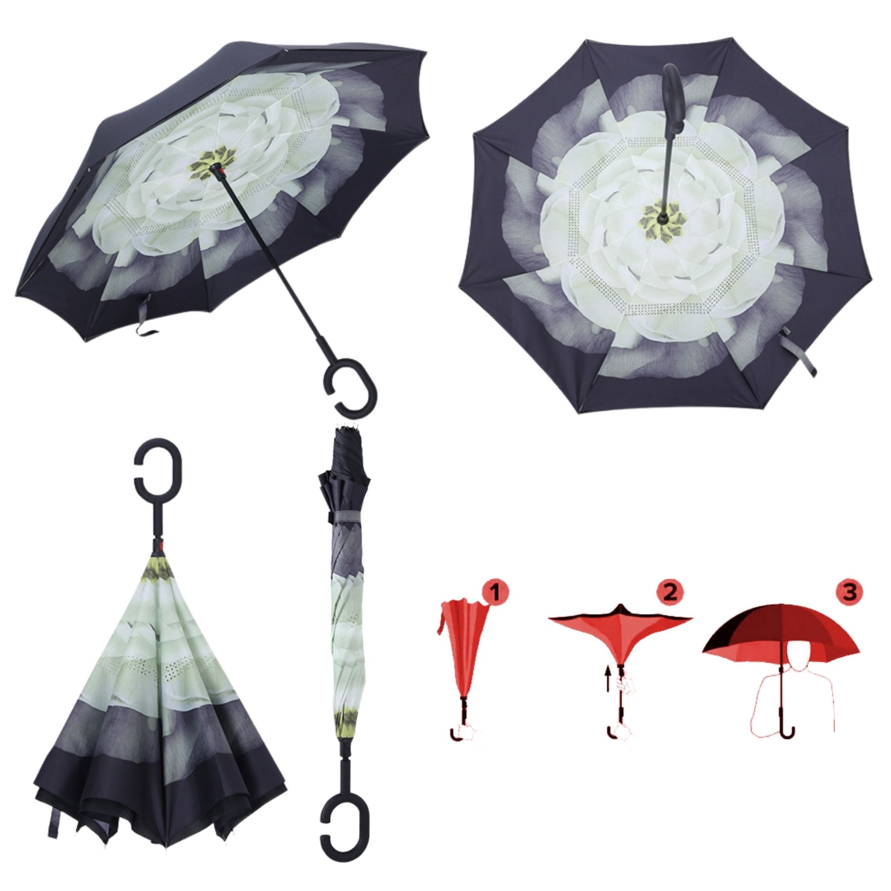 Inverted Umbrella 1