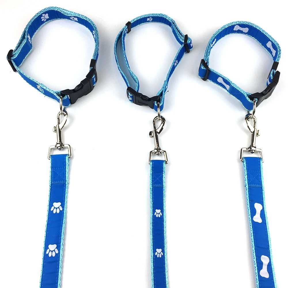 Pet Leash And Collar Set With Buckle 4