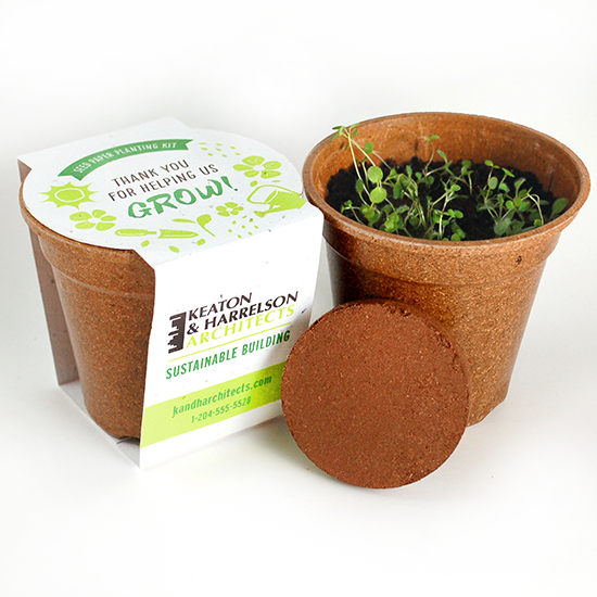 Wildflower Seed Paper Sprouter Kits 1