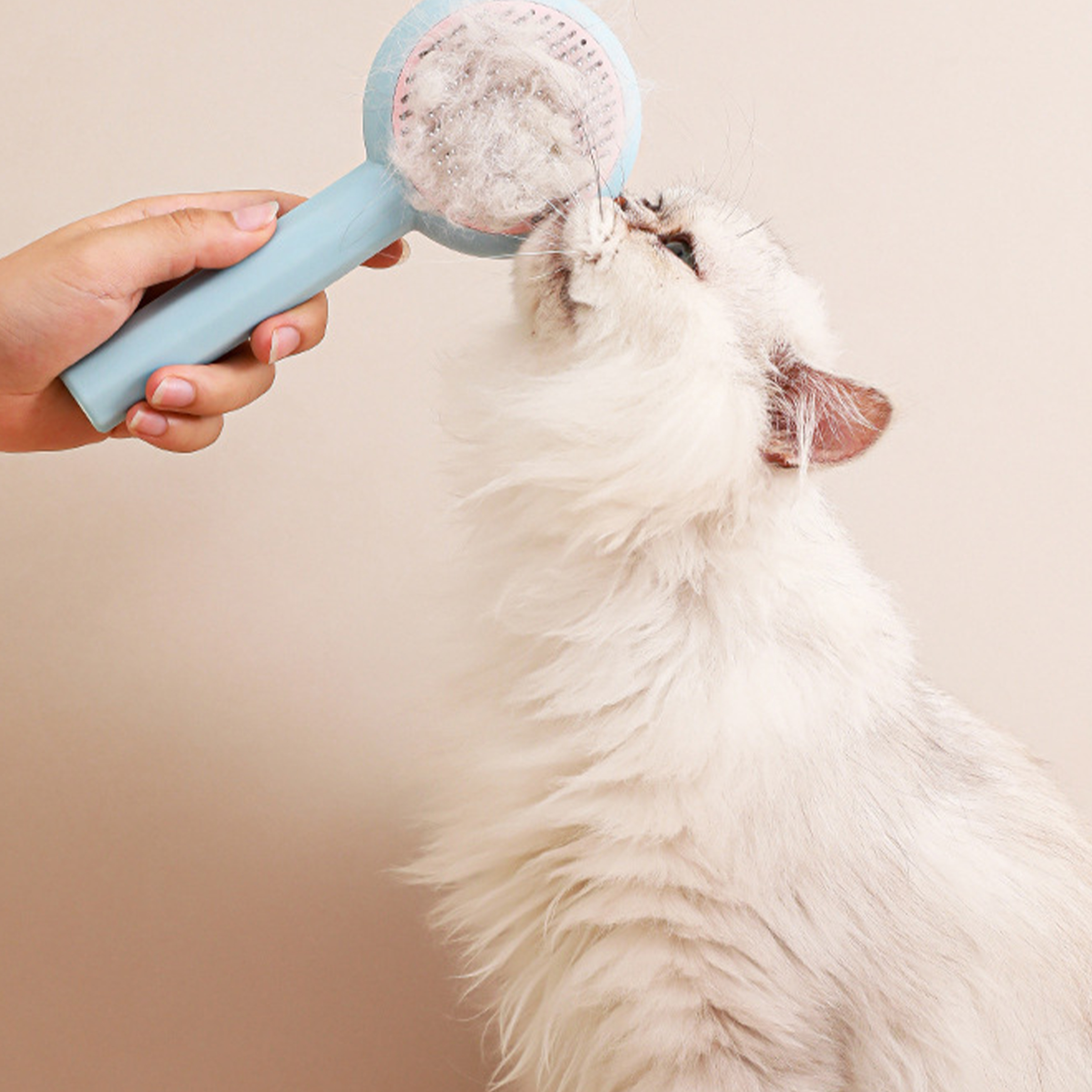 Polypropylene Large Retractable Pet Comb 5