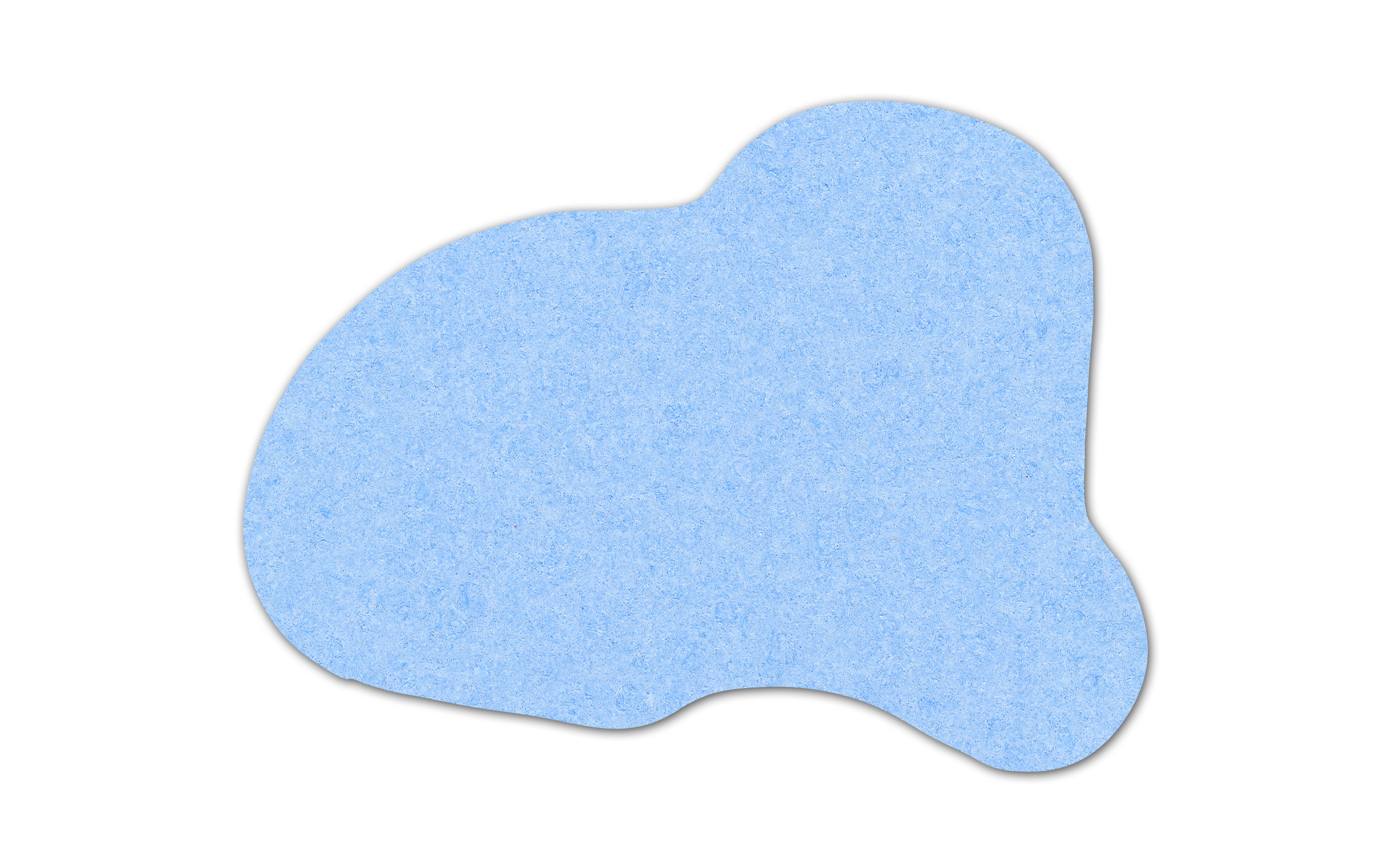Dog Compressed Sponge 10