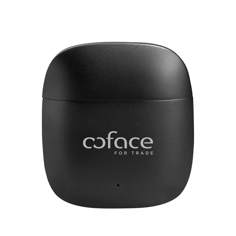 PulsePods Black Metal Earbuds With Deep Bass 7