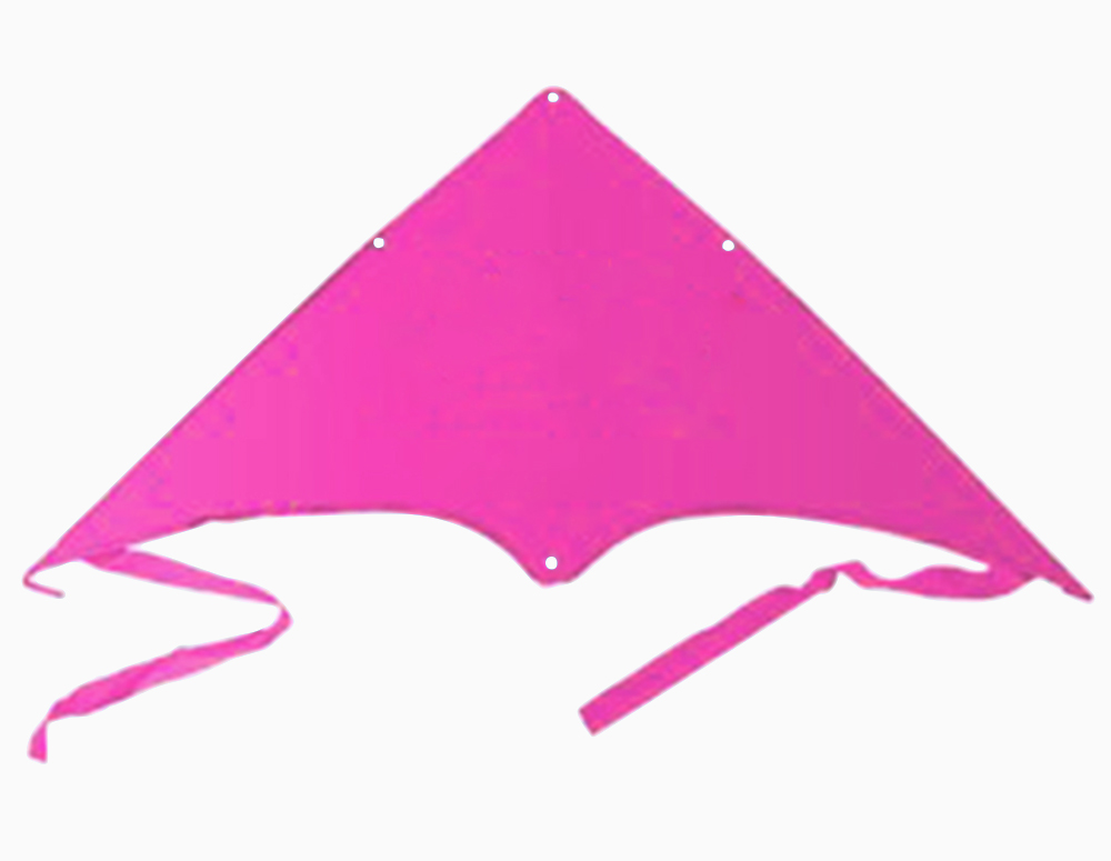 Delta Jumbo Kite 5
