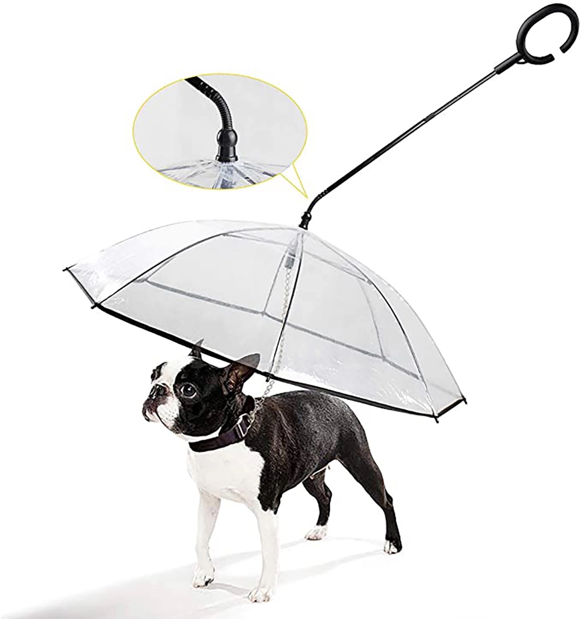 Pet Umbrella 3