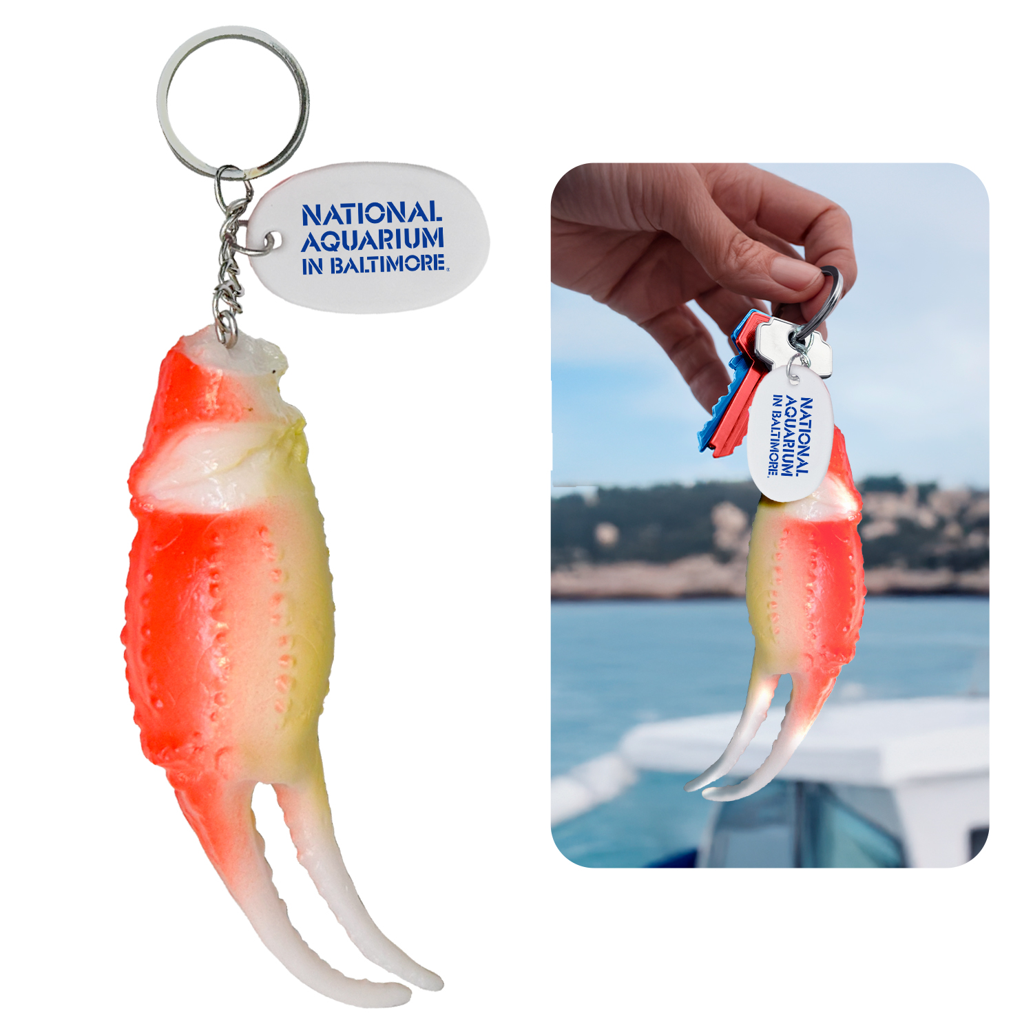 Lobster Claw Keychain 1