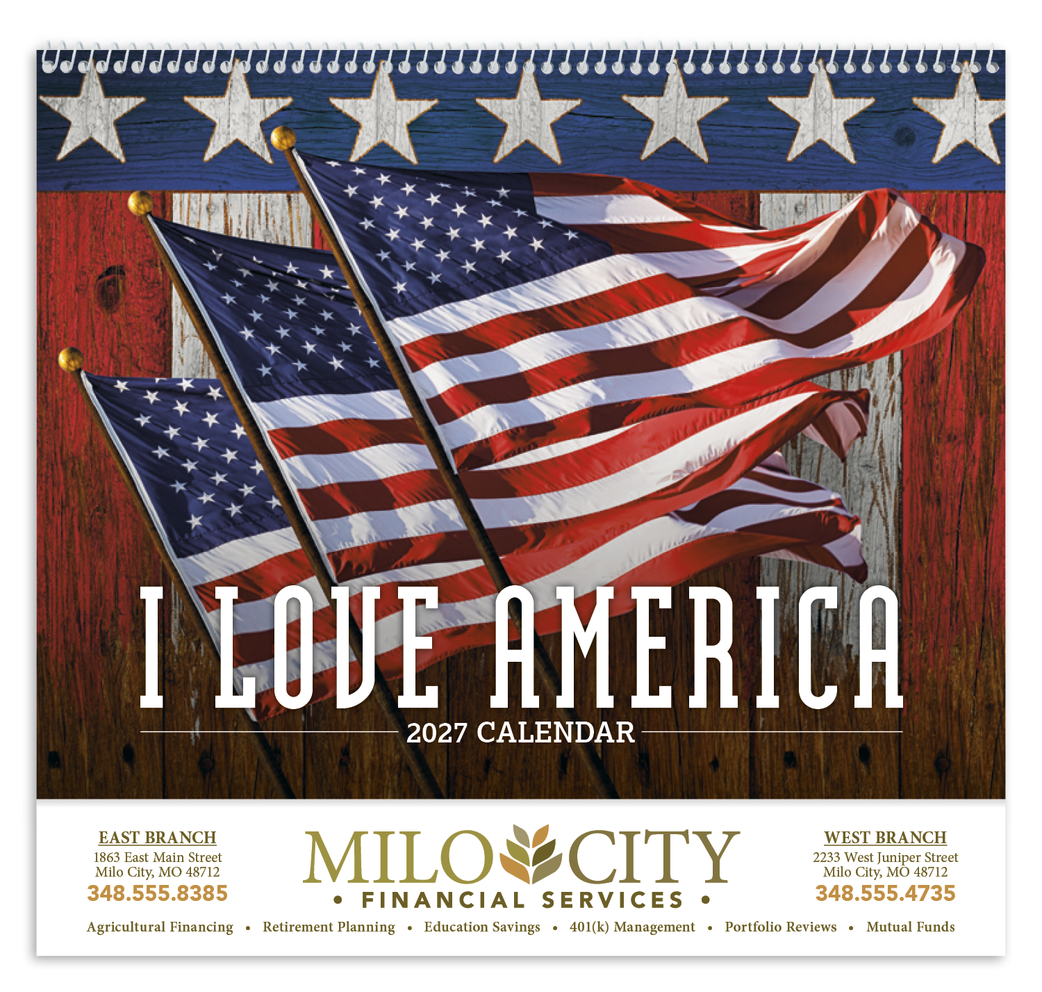 Triumph® Calendars I Love America Calendar 48