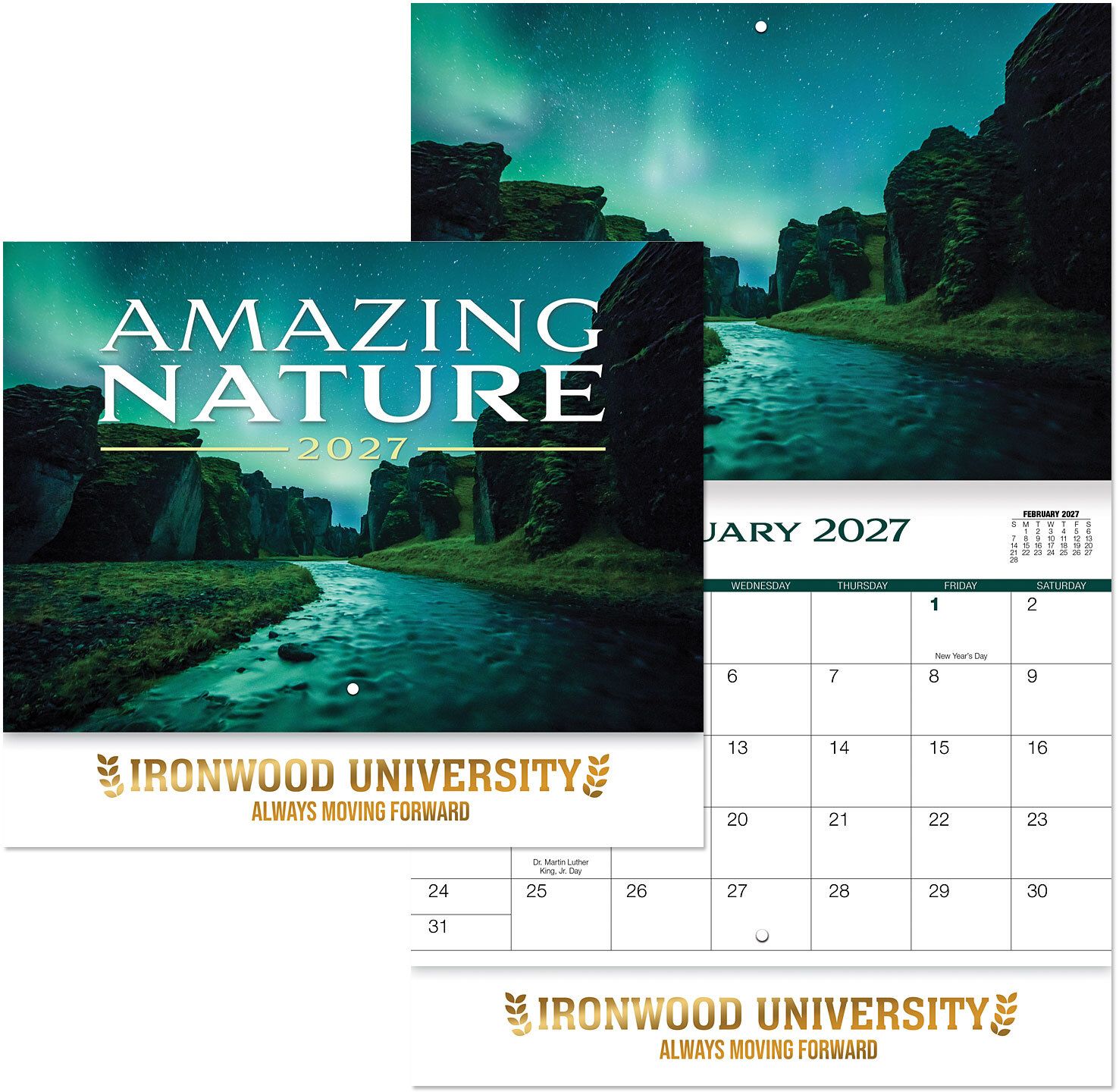LUXE AMAZING NATURE STAPLED WALL CALENDAR 17