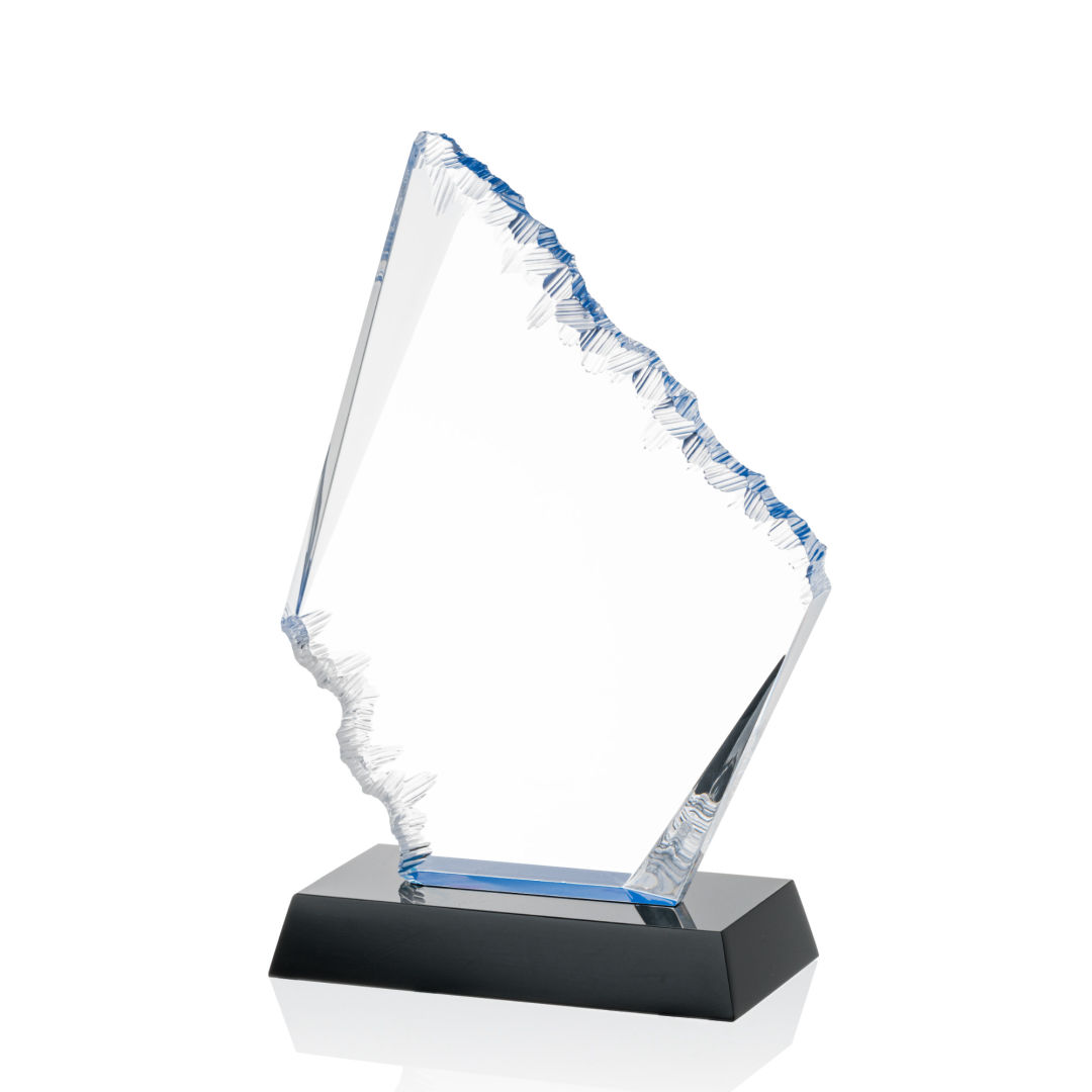 Reddington VividPrint™ Award 4