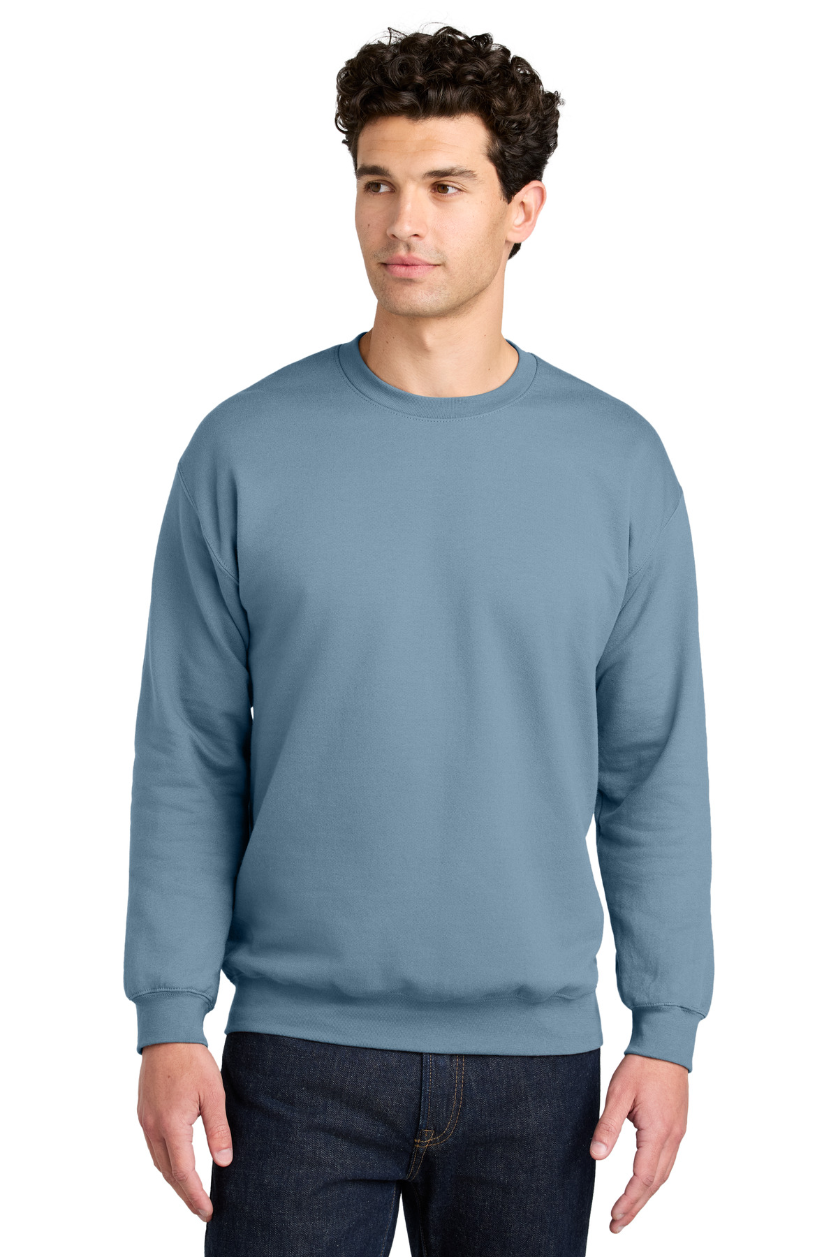 Gildan Softstyle Crewneck Sweatshirt SF000 74