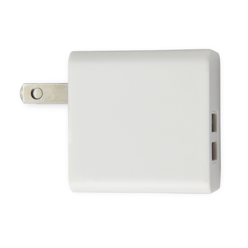 Simport Hogan Dual Port Wall Charger 8