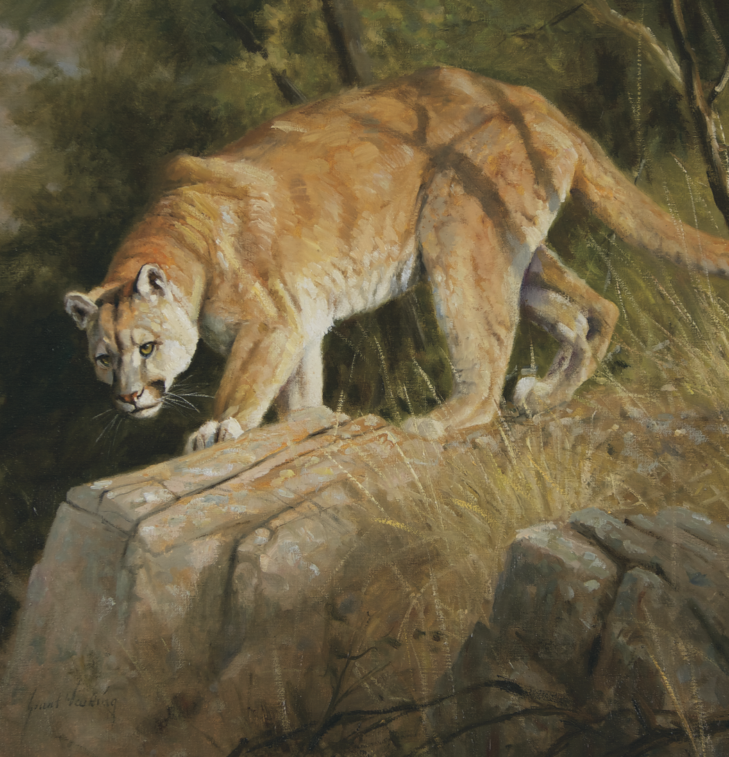 Triumph® Calendars Wildlife Art Calendar 25