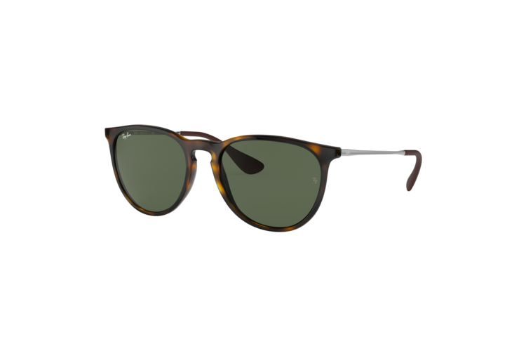 Ray-Ban Women's Erika Classic Sunglasses 1