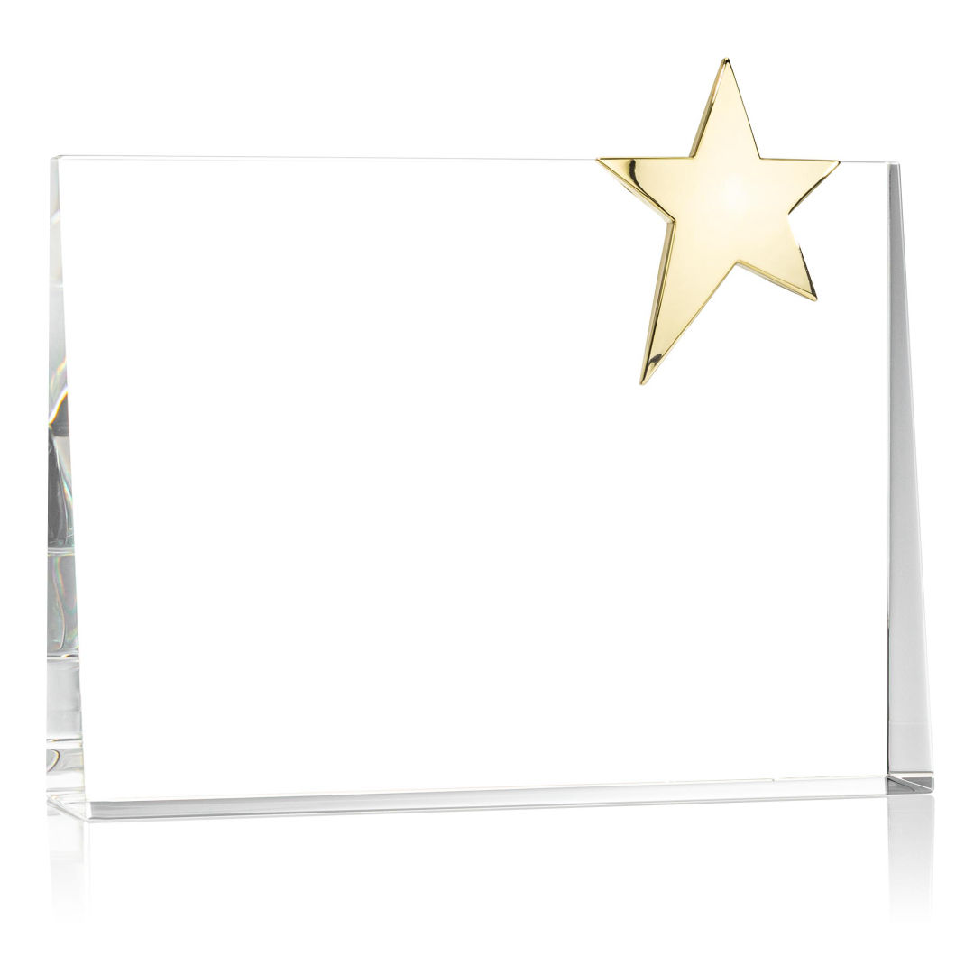 Bradenton Gold Star VividPrint™ Award 5