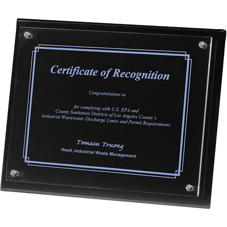 2 Panel Black Radiant Plaque (8"x 10"x 3/4") Screen-Printed