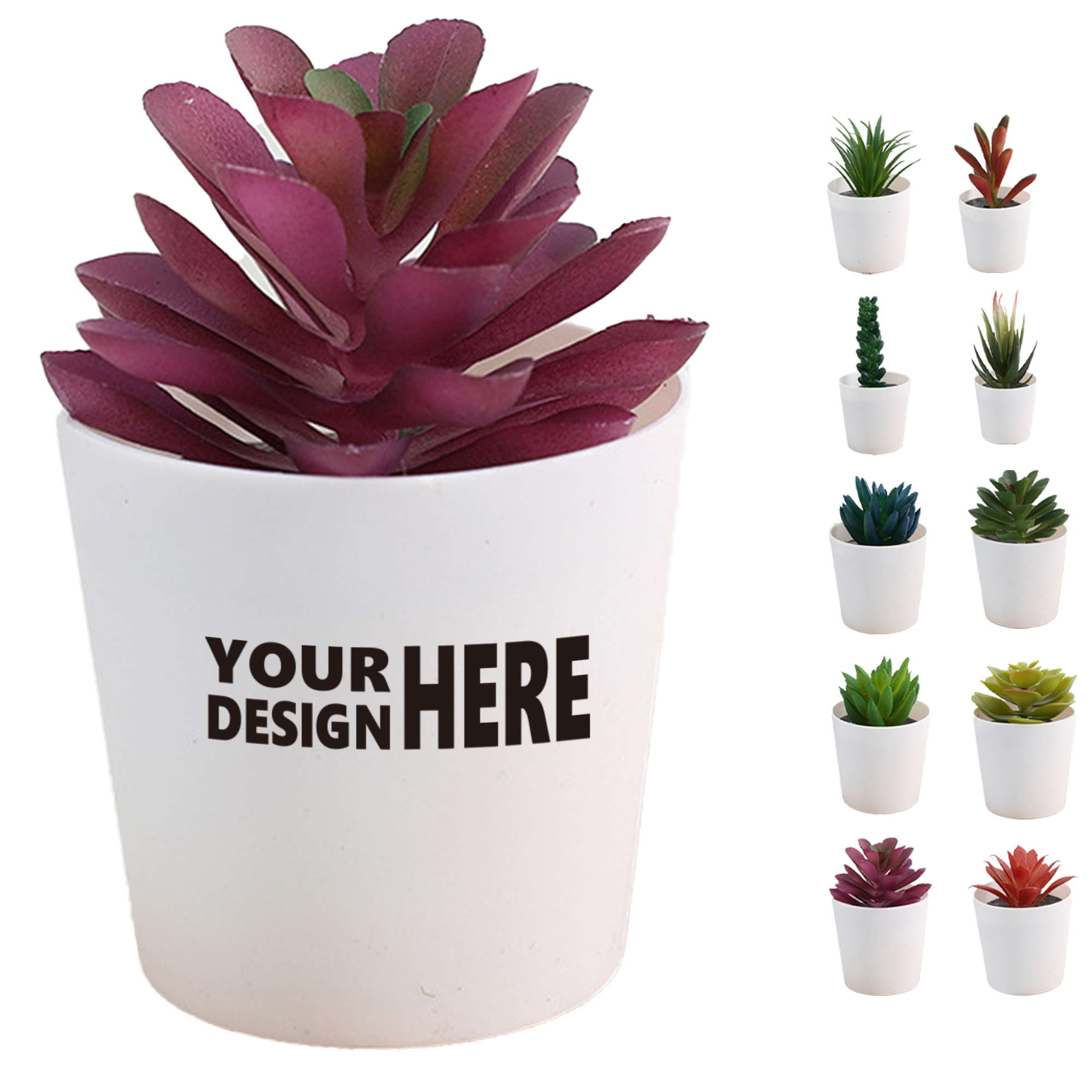 Mini Succulent Potted Plant Set for Home Decor 1