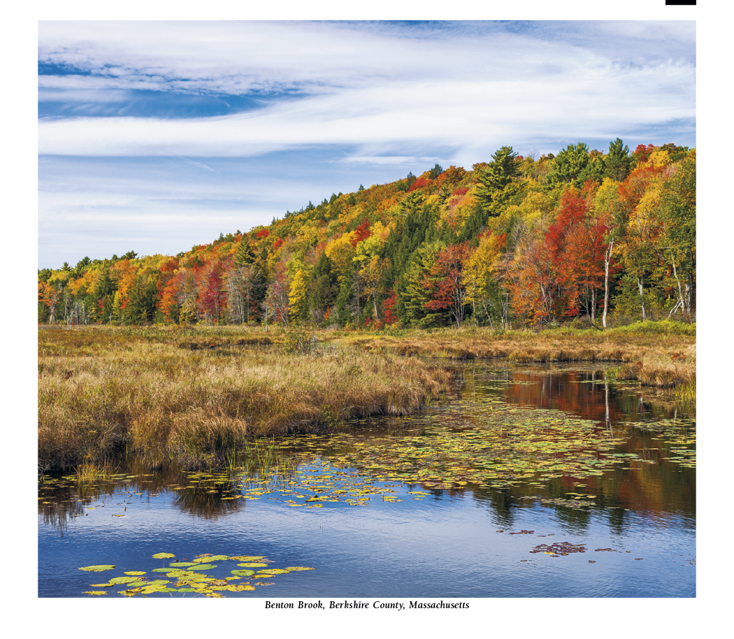 HotLine® Products Scenic America® Pocket Calendar 56