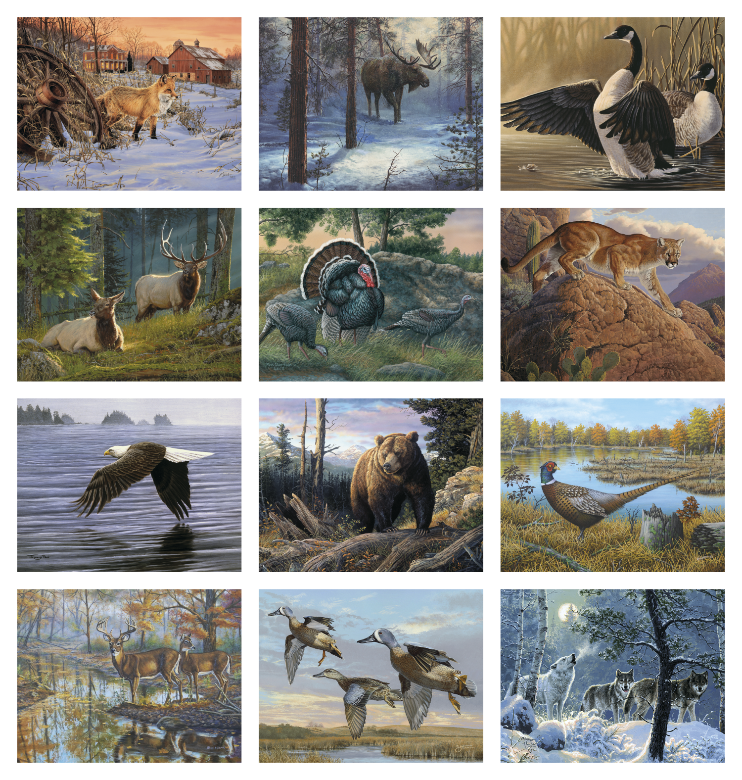 Good Value™ Wildlife Canvas - Spiral Calendar 4