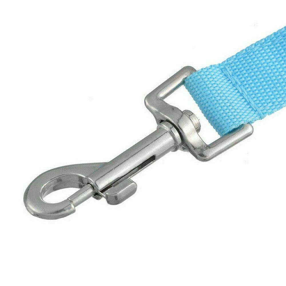 LED Glowing Dog Leash 2